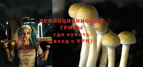 мескалин Балахна